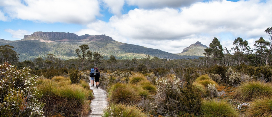 Photograph of the Tasmanian high country, looking towards two mountain peaks with two hikers walking away on a boardwalk track amongst alpine grasses and flowering shrubs.