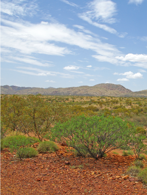 MacDonnell Ranges, Northern Territory