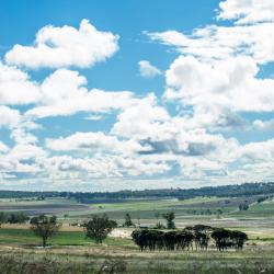 Photograph of lightly wooded mixed grazing and cropping lands among low hills.