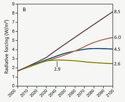 Radiative forcing for the different RCPs. The numbers on the right show the final radiative forcing at 2100 and give each scenario its name (8.5, 6.0, 4.5 and 2.6 w/m2) SOURCE: Climate Change in Australia Technical Report